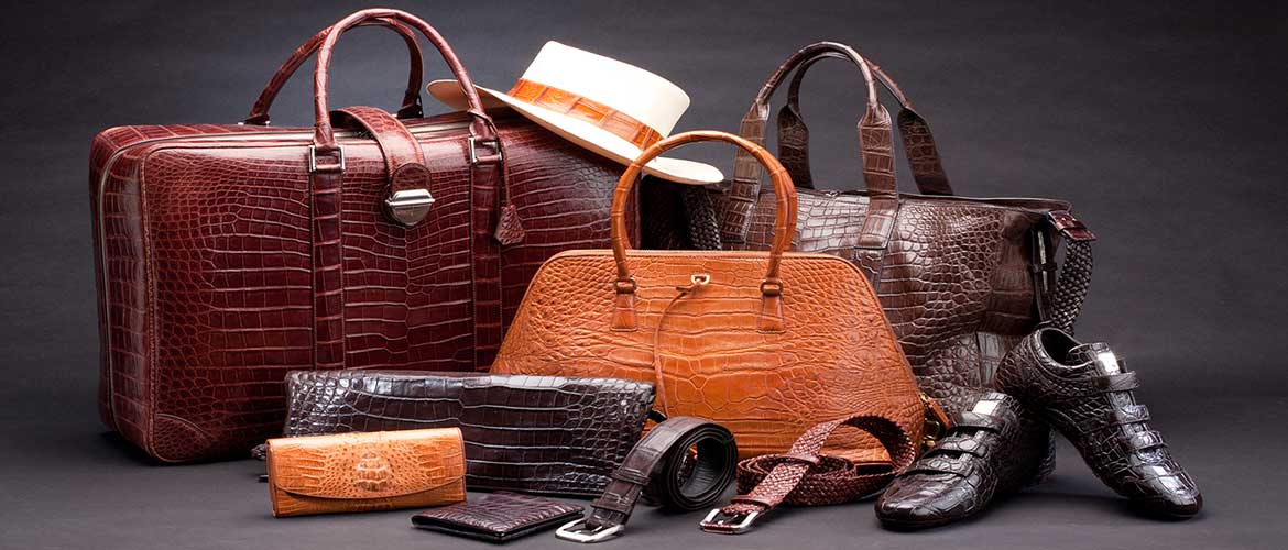bags-shoes-website-design