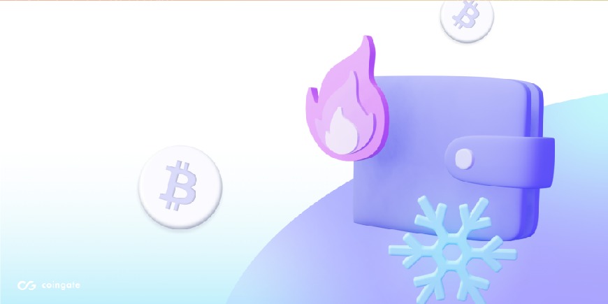 کیف پول سرد ارز دیجیتال