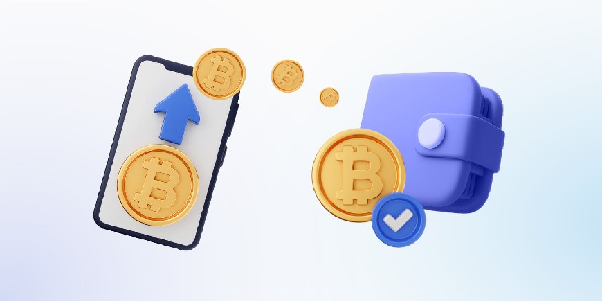 کدام کیف پول ارز دیجیتال برای شما مناسب است